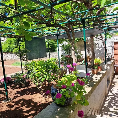 Apartament Luana